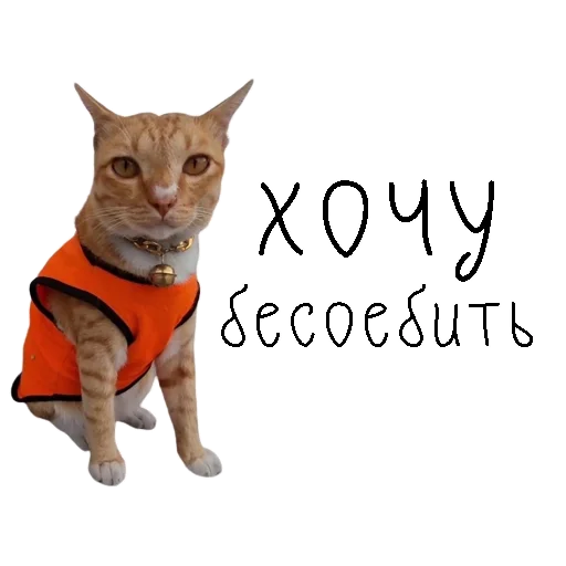🤙 Стикер «коты ишачат на заводе» для Telegram