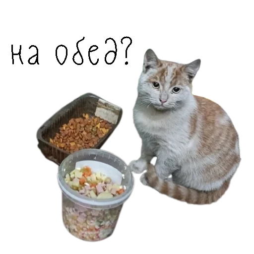 Стикерпак коты ишачат на заводе для Telegram