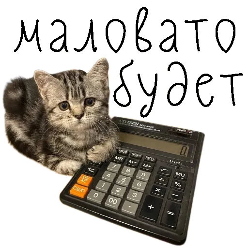 💼 Стикер «коты ишачат на заводе» для Telegram