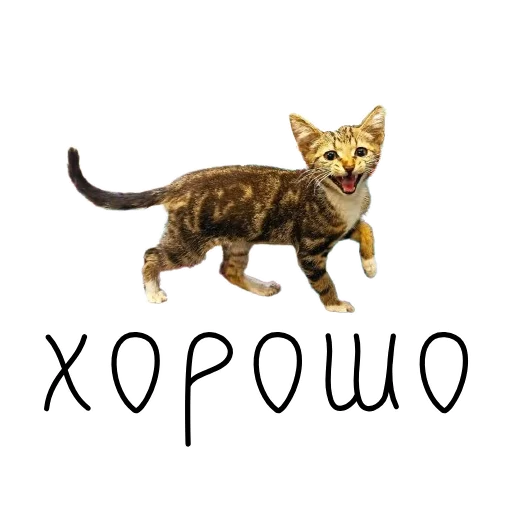 😊 Стикер «коты ишачат на заводе» для Telegram