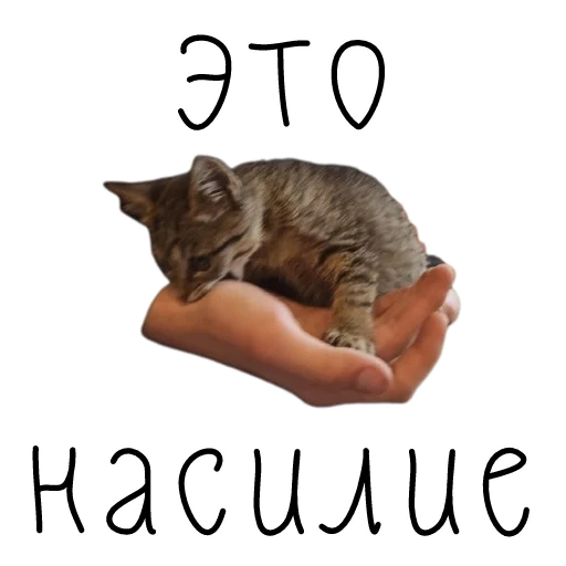 🤬 Стикер «коты ишачат на заводе» для Telegram