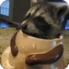 Стикер 3 Raccoon