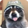 Стикер 13 Raccoon