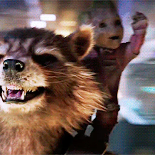 🥳 Стикер «Rocket Raccoon» для Telegram