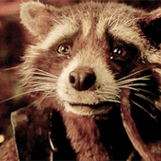 🥲 Стикер «Rocket Raccoon» для Telegram