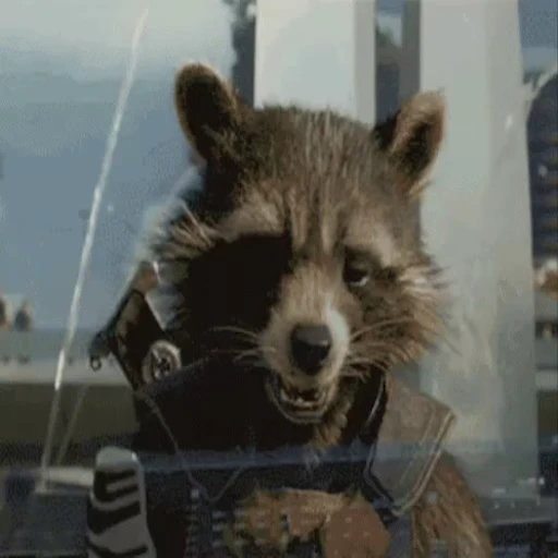 😆 Стикер «Rocket Raccoon» для Telegram