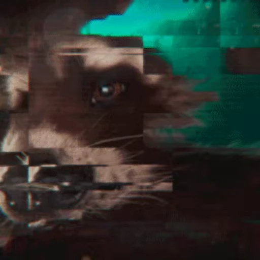 🦝 Стикер «Rocket Raccoon» для Telegram