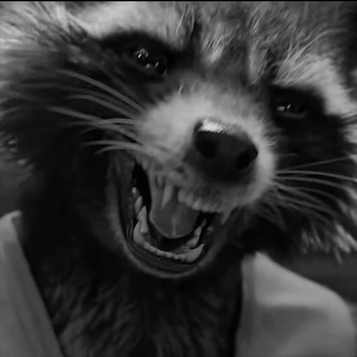 😠 Стикер «Rocket Raccoon» для Telegram