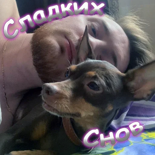 😴 Стикер «Жми - > Радик ?» для Telegram