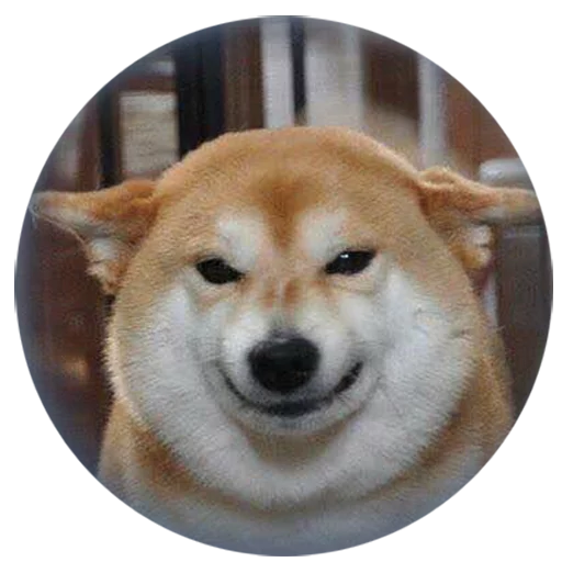 😐 Стикер «radiumdunk» для Telegram