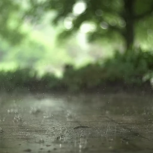 💦 Стикер «Дождь» для Telegram