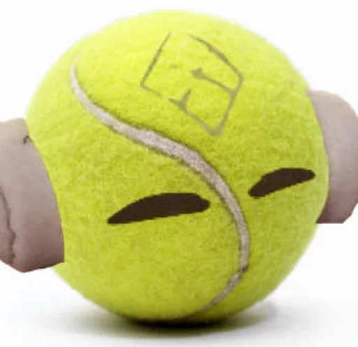 🎾 Стикер «rain world» для Telegram