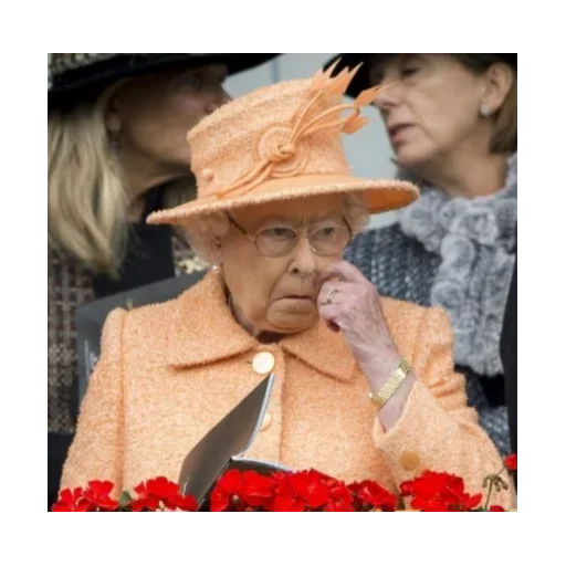 👃 Стикер «Rainha Elizabeth» для Telegram