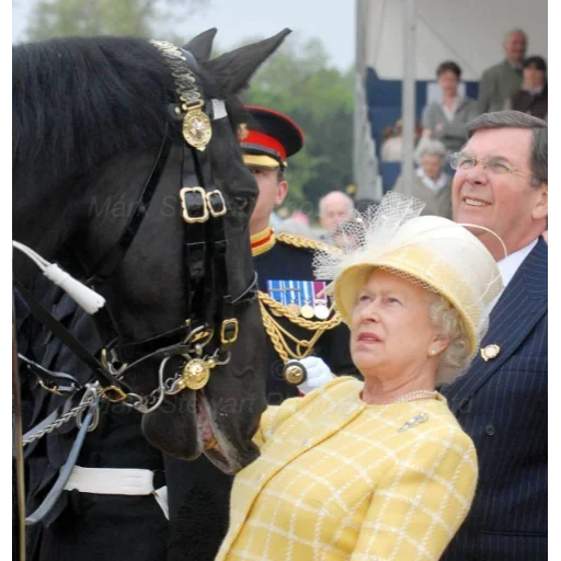 🤨 Стикер «Rainha Elizabeth» для Telegram