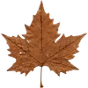 🍁 Эмодзи «Ещё один пак букв с цветами осени, заглавные и прописные.» для Telegram