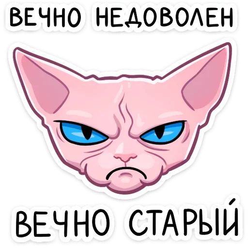 Стикер 17 Рамзес