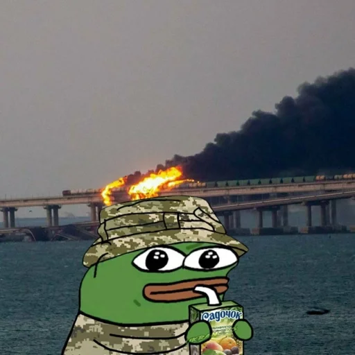 🐸 Стикер «Ramin Afire Airs» для Telegram