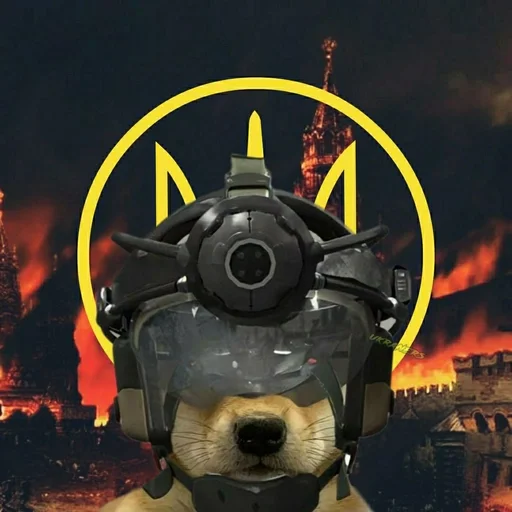 🐕 Стикер «Ramin Afire Airs» для Telegram