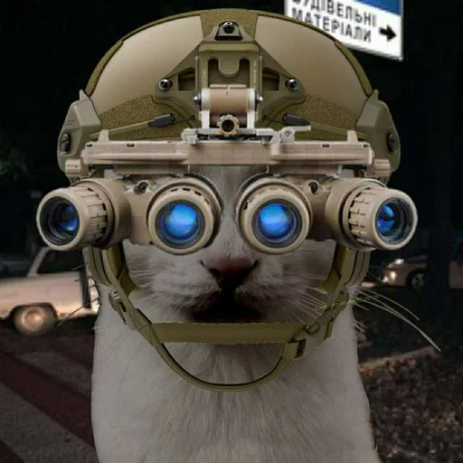 🐈 Стикер «Ramin Afire Airs» для Telegram