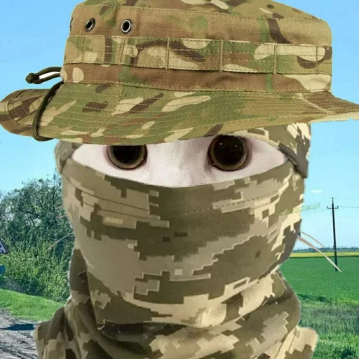 🐈 Стикер «Ramin Afire Airs» для Telegram