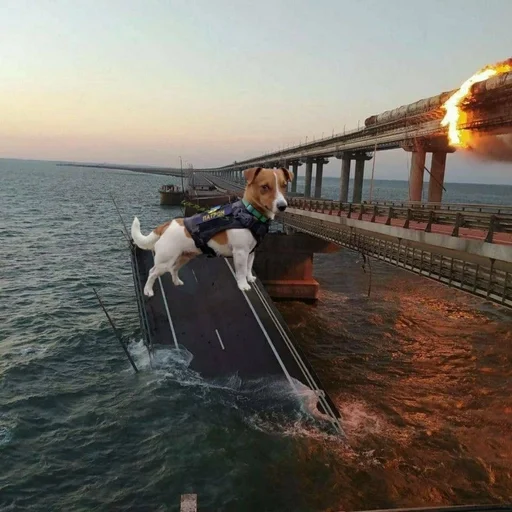 🐕 Стикер «Ramin Afire Airs» для Telegram