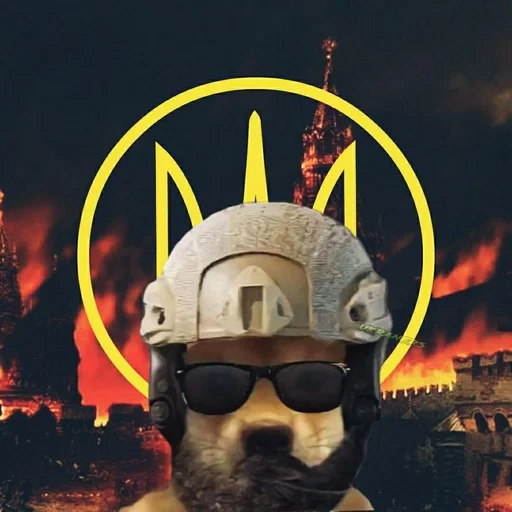 🐕 Стикер «Ramin Afire Airs» для Telegram