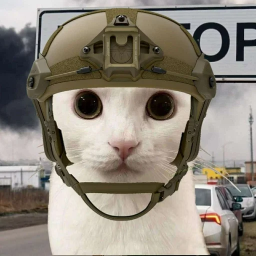 🐈 Стикер «Ramin Afire Airs» для Telegram