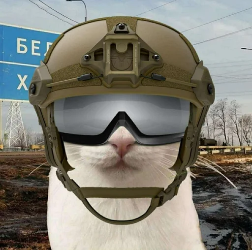 🐈 Стикер «Ramin Afire Airs» для Telegram