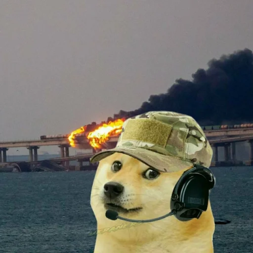 🐕 Стикер «Ramin Afire Airs» для Telegram