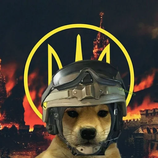 🐕 Стикер «Ramin Afire Airs» для Telegram