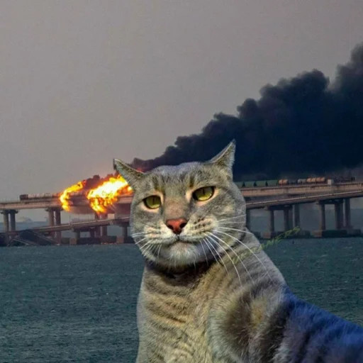 🐈 Стикер «Ramin Afire Airs» для Telegram