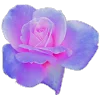🌸 Эмодзи «Randomdon 4» для Telegram