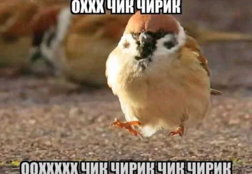 🤩 Стикер «random 4» для Telegram
