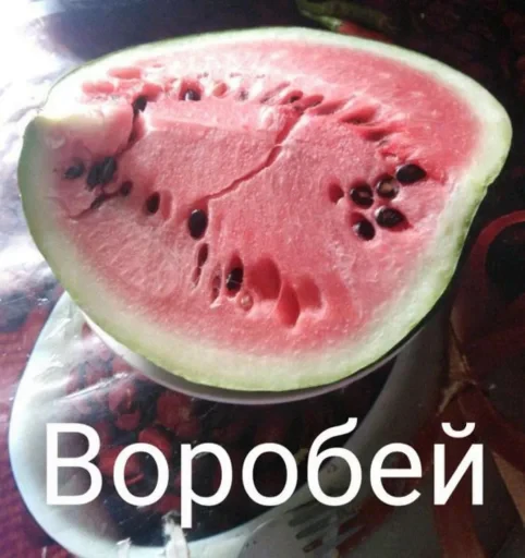 🤩 Стикер «random 4» для Telegram
