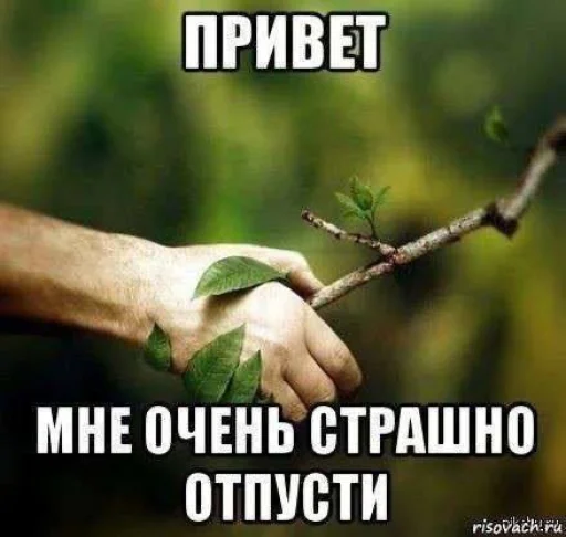 🤩 Стикер «random 4» для Telegram
