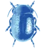 Стикер 57 ⠀⠀ ⠀ Random blue
