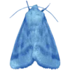Стикер 28 ⠀⠀ ⠀ Random blue