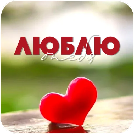 👍 Стикер «Cute Animals» для Telegram