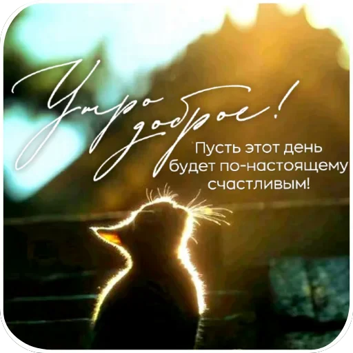 🌌 Стикер «Cute Animals» для Telegram