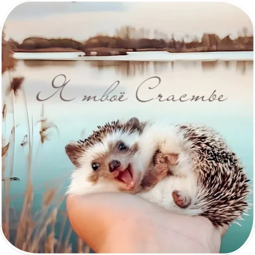 🐶 Стикер «Cute Animals» для Telegram