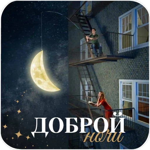 🌌 Стикер «Cute Animals» для Telegram