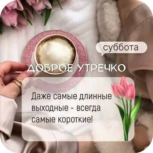 ✋ Стикер «Cute Animals» для Telegram