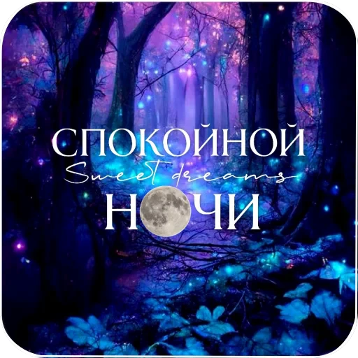 🌲 Стикер «Cute Animals» для Telegram