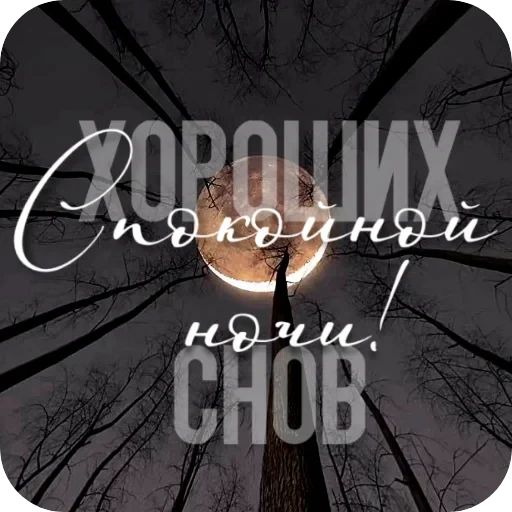 🌿 Стикер «Cute Animals» для Telegram