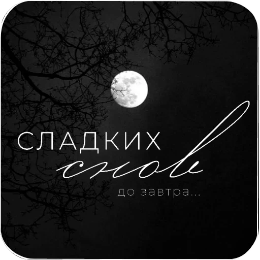 🌕 Стикер «Cute Animals» для Telegram