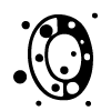 Стикер 48 #adaptive #font #random