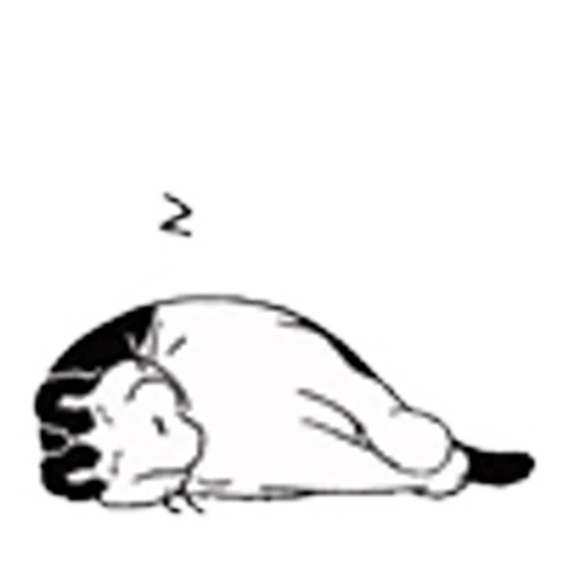 💤 Эмодзи «random cats» для Telegram