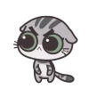 Стикер 4 random cats