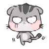 Стикер 3 random cats