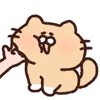 Стикер 39 random cats